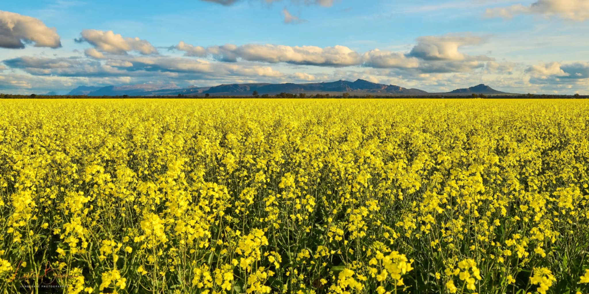 Psychometric testing service